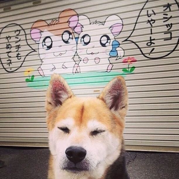 开云-Dota 2 战队教练团队加强战术布置，dota2教练位