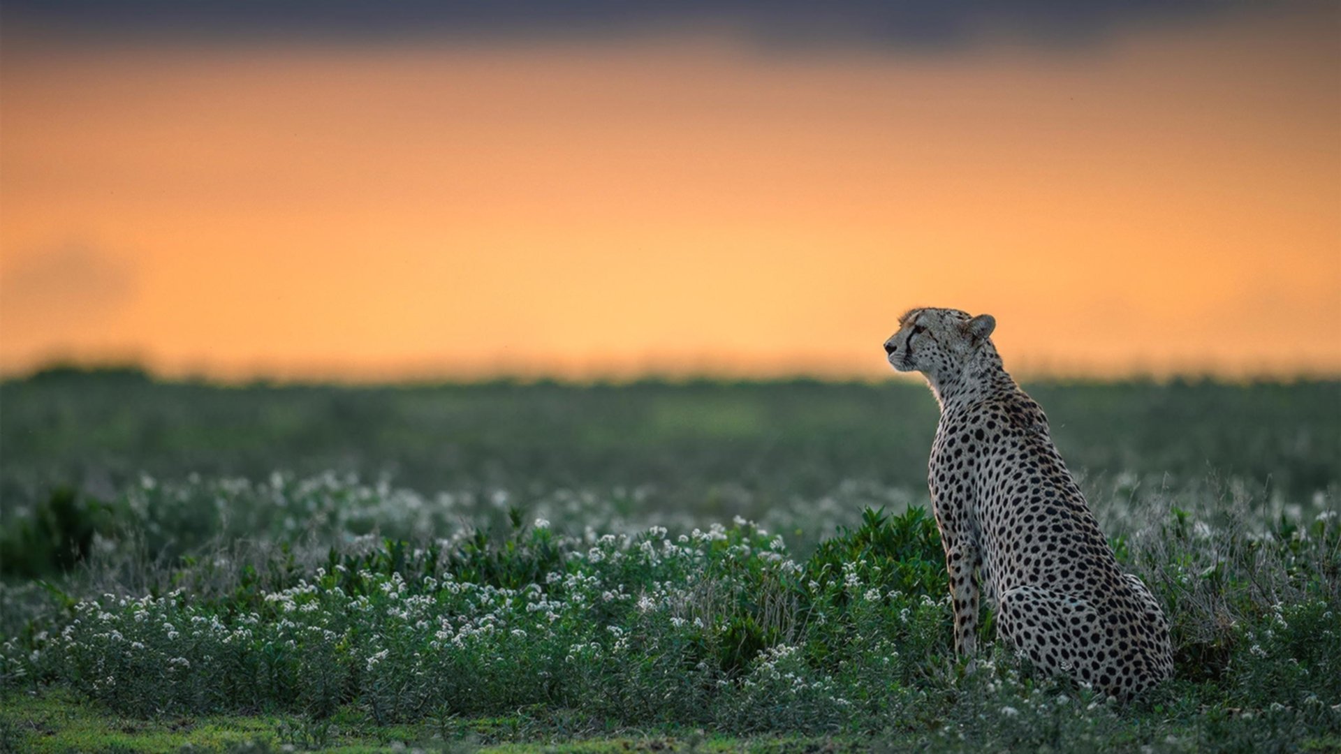 开云-VALORANT 战队季后赛名单尘埃落定，valorant排位