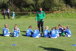 开云APP-德甲战术大变：变化迅速，精彩纷呈，德甲赛制介绍